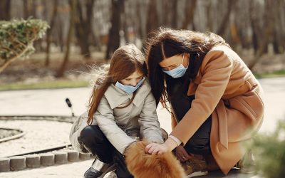 What you need to know about the Coronavirus and your pet