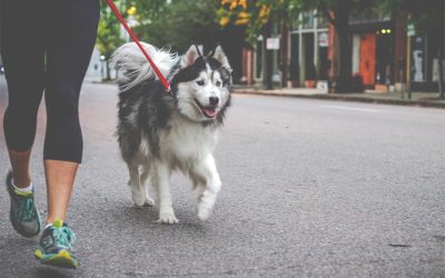 Request for help: COVID-19 Update