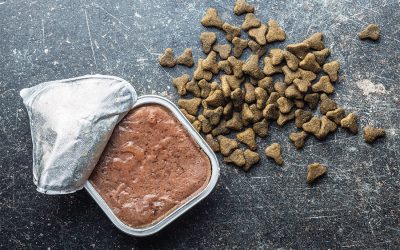 Donation Drive With Austin Pet Sitters Organization