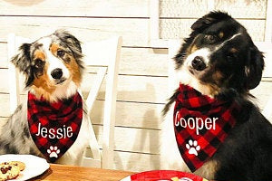 Share the Luv At Luv My Sitter