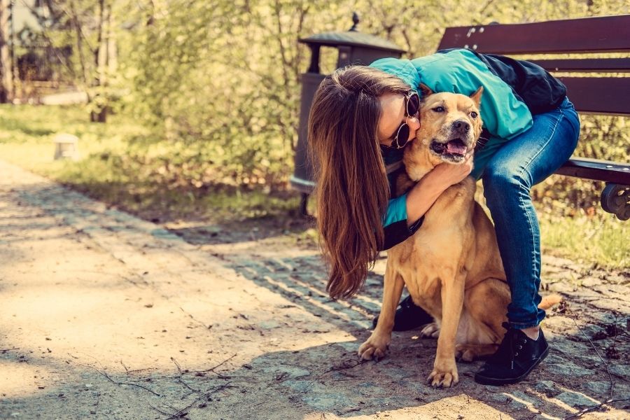 5 Dog Parks to Visit in the Austin Area for Canine Fitness Month