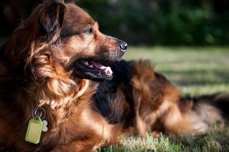 Natural Disaster Preparedness