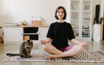 National Pet Wellness