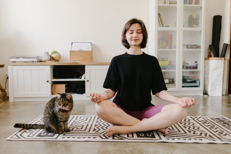 National Pet Wellness