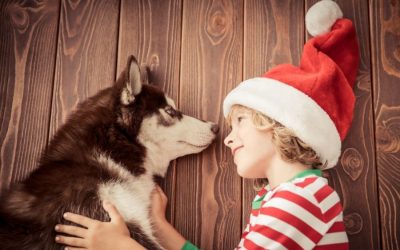 Preparing Pets and Family for a New Addition