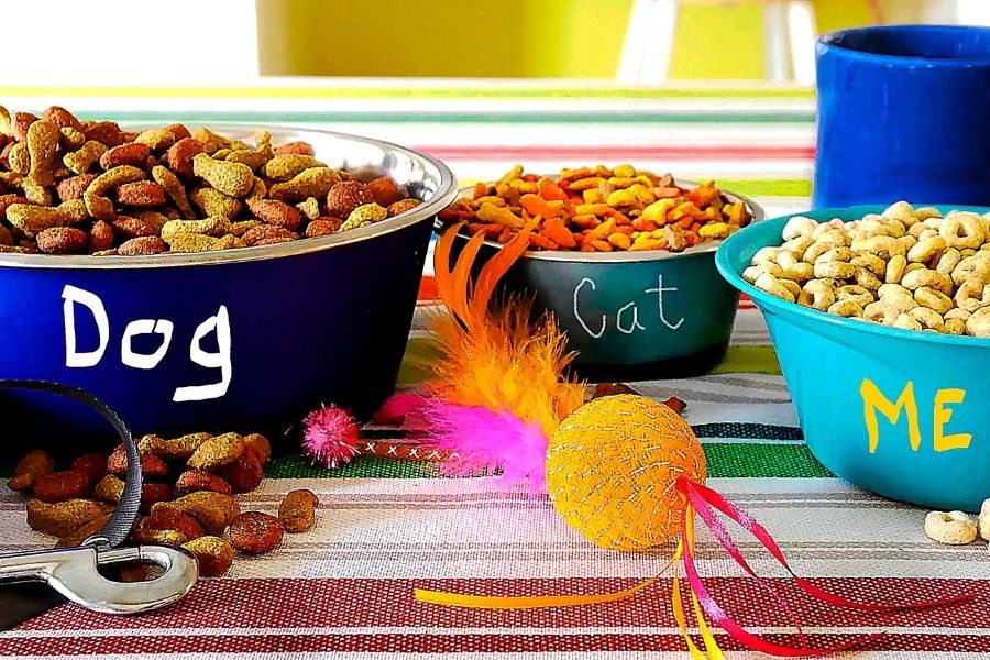 New Year's Resolutions for You and Your Pet