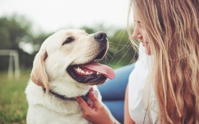 Heartworm Awareness and Prevention