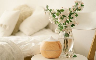 Dangers of Wall Scent Diffusers Around Cats