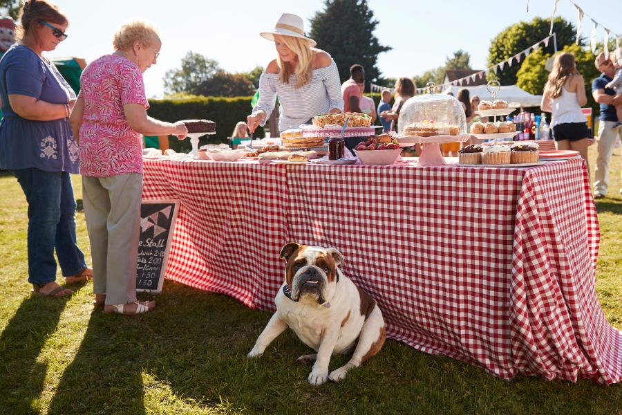 Pet-Friendly Events in and around Austin