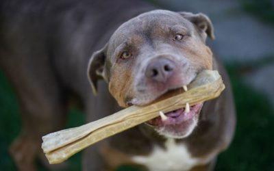 Resisting the Rawhide Option