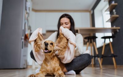 Capturing the Perfect Moments with Your Pet