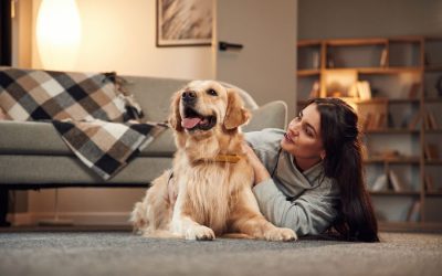 Creating a Routine for your Dog