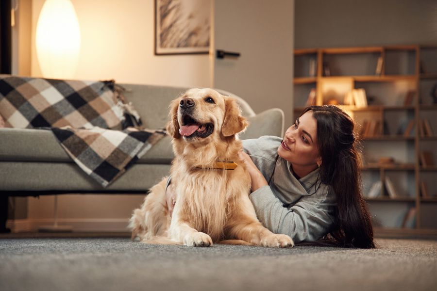 Creating a Routine for your Dog