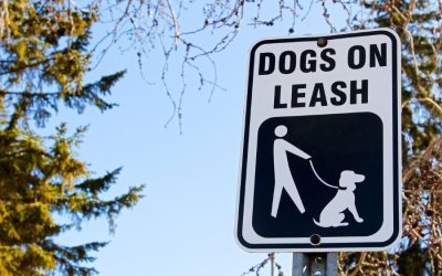 Texas Pet Laws and Regulations