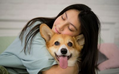 How to Form Good Habits with your Pets