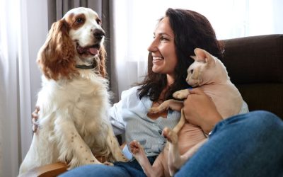 How to Help Your Pets Reach their Resolutions