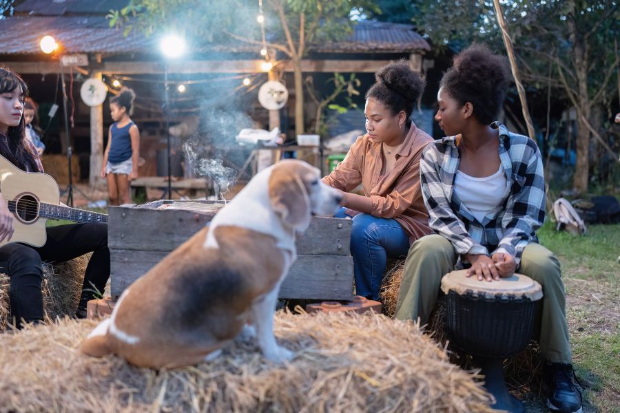 Dog Manners at a BBQ