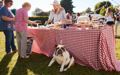 Dog Manners at a BBQ