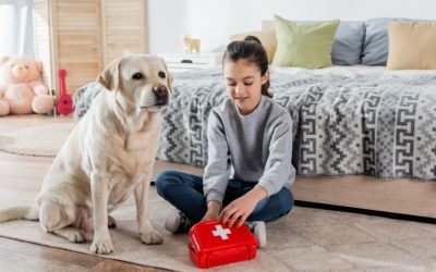 The Importance of Pet First Aid