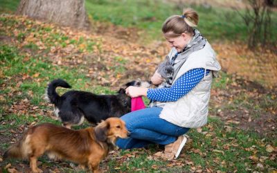 Finding the Perfect Pet Sitter for Long-Term Stays