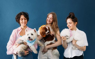 The Importance of Socializing Your Pets