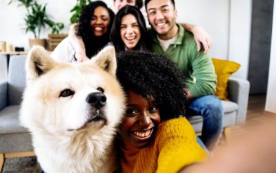 Managing Your Pet’s Stress During Gatherings and Festivities