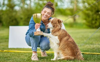 Rewarding Pets Without Treats