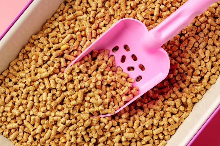 Choosing the Right Cat Litter