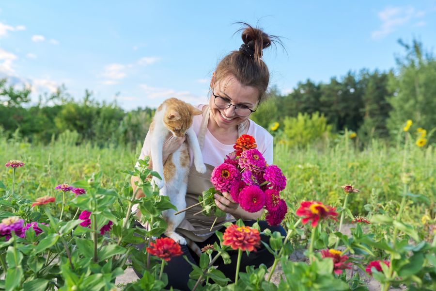Gardening with Pets
