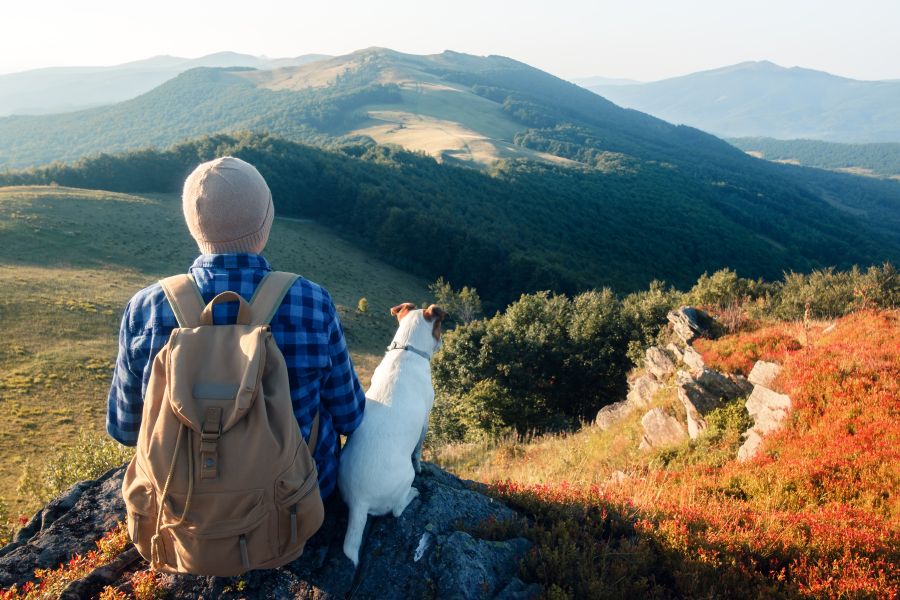 Five Essential Hiking and Camping Safety Tips 