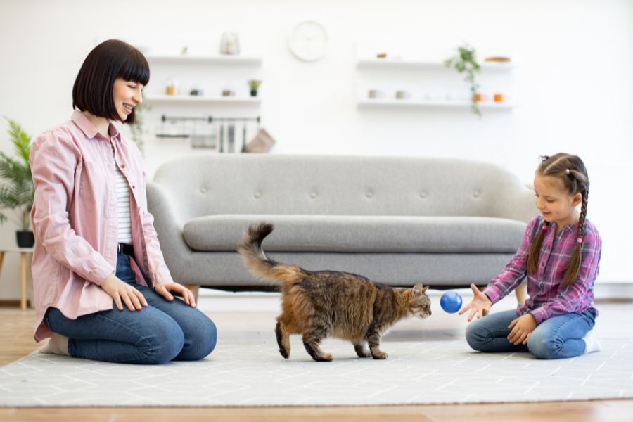 How to Keep Your Pets Active as the Days Get Shorter