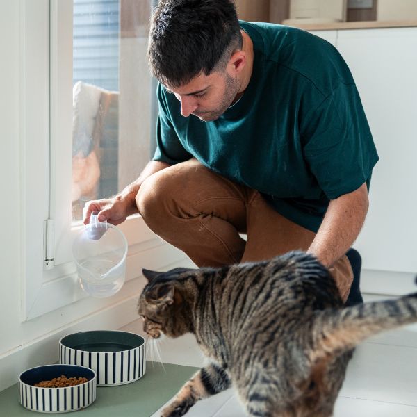 man feeding cat during a pet sitting visit in Austin